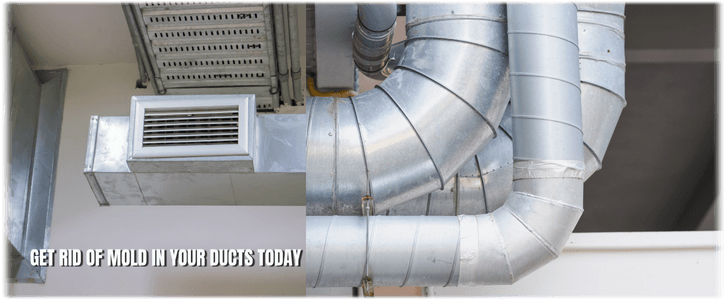 Air Duct Mold Removal in Chicago