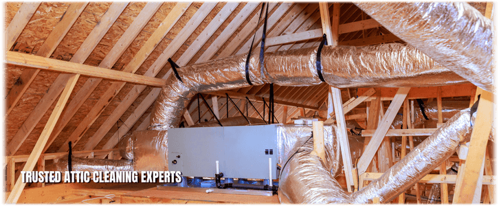 Attic Cleaning Chicago